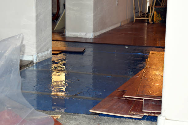 Professional Basement Water Removal technician working in Warrenville, IL
